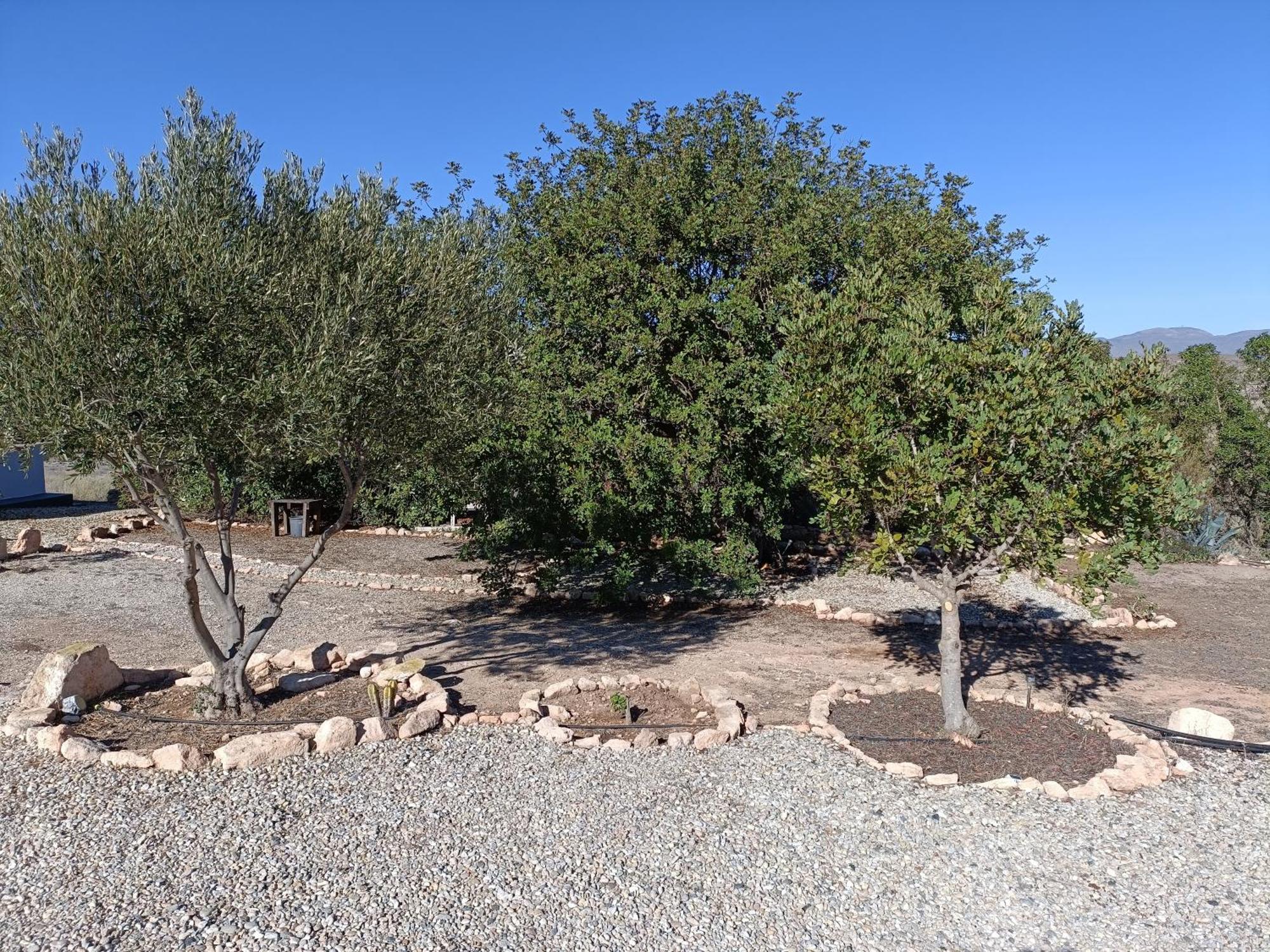 El Cerrillo Villa Agua Amarga  Exterior photo